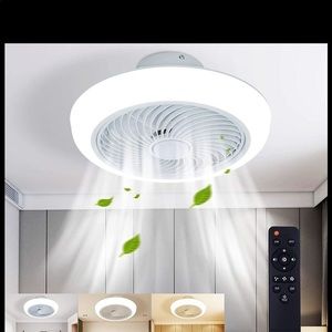 Light with built in ceiling fan